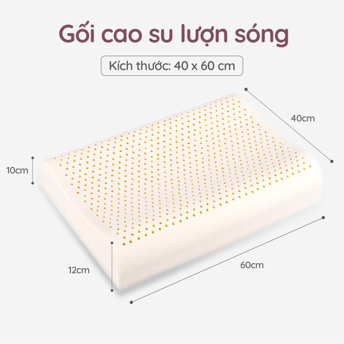 Tặng gối cao su 2 Tặng gối cao su 2