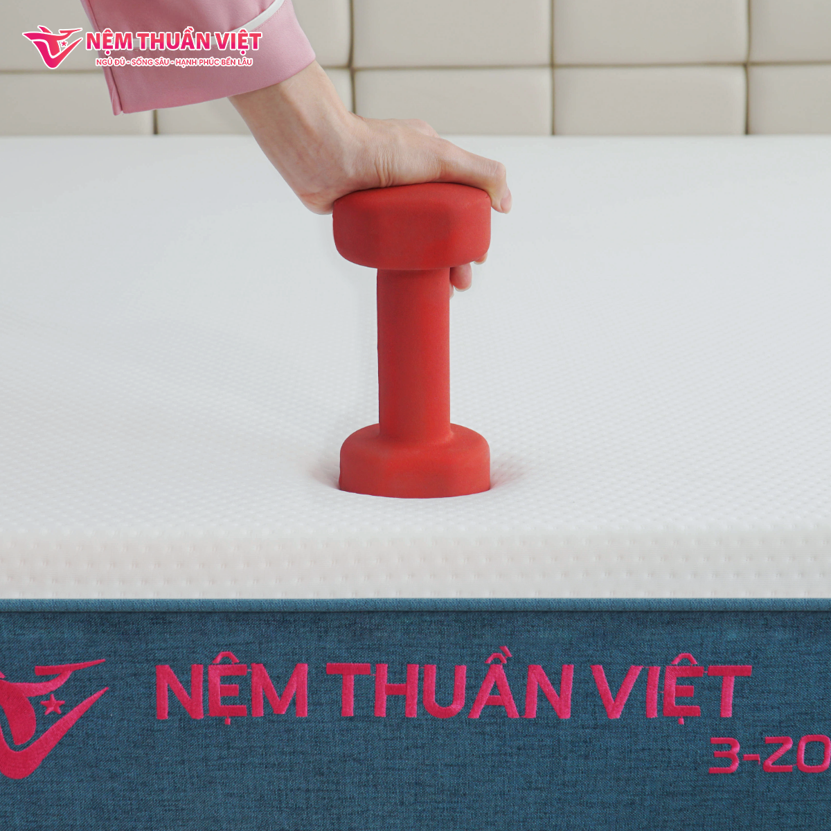 nem-foam-phan-vung-thuan-viet-3zone-10