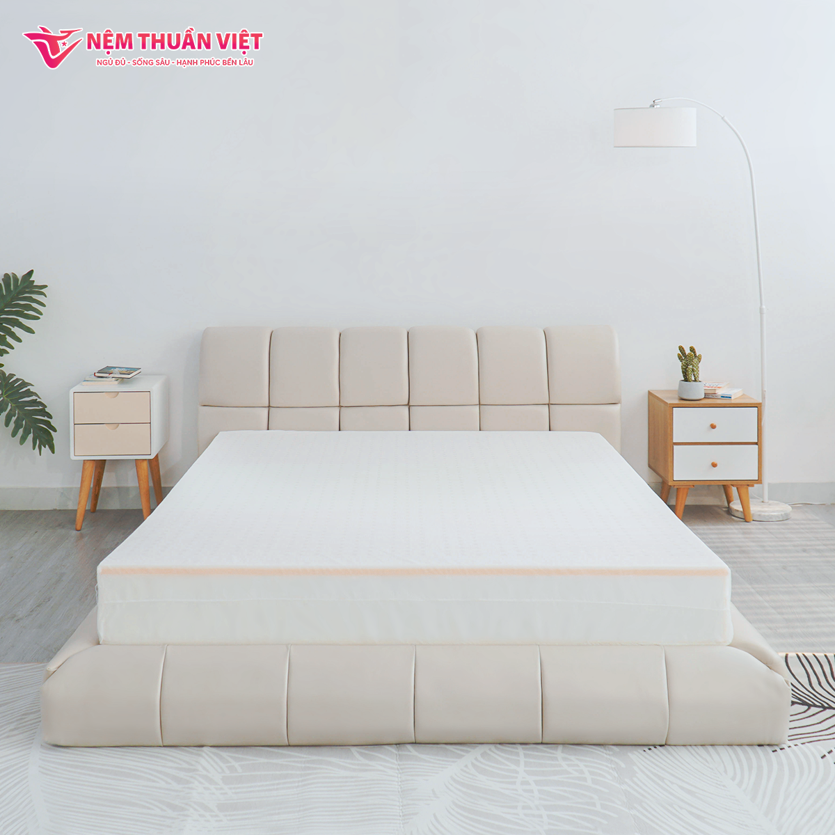 nem-foam-phan-vung-thuan-viet-3zone-3