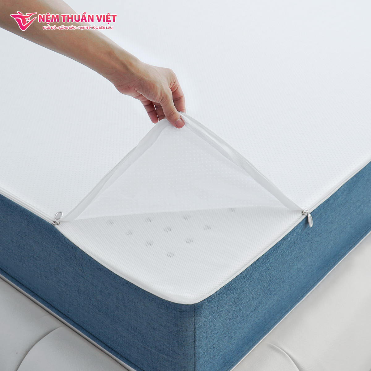 nem-foam-phan-vung-thuan-viet-3zone-9